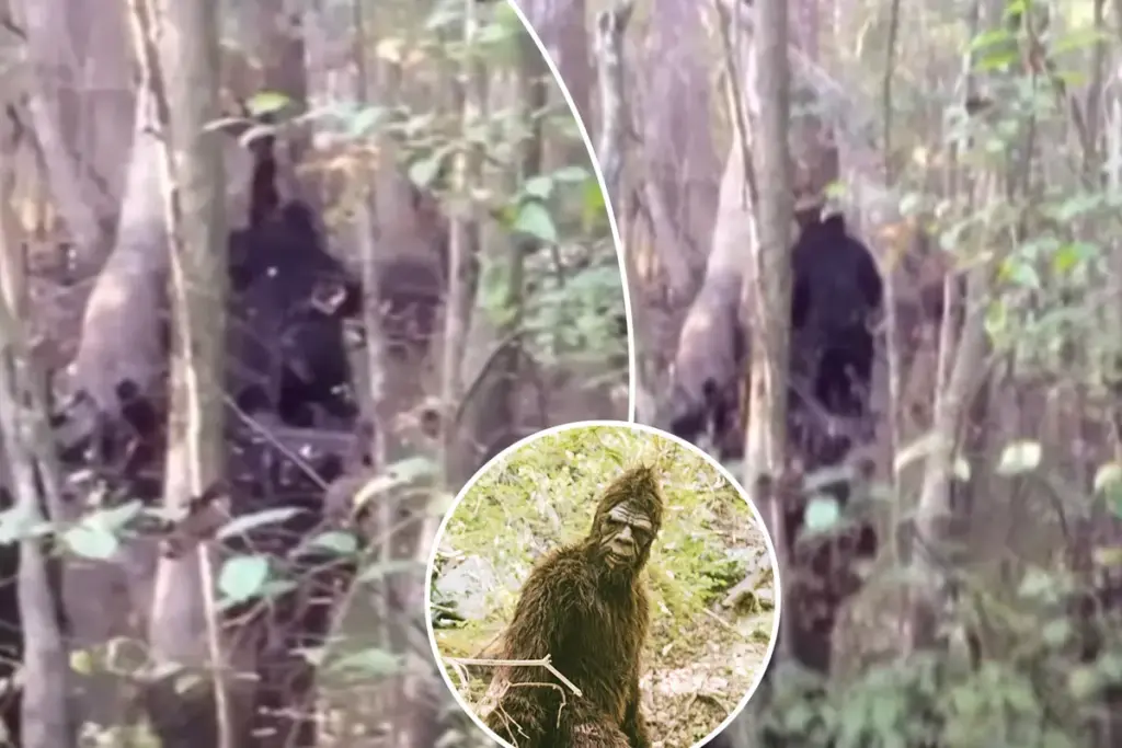 Scepsis groeit na opnieuw opgedoken Bigfoot-video uit Mississippi