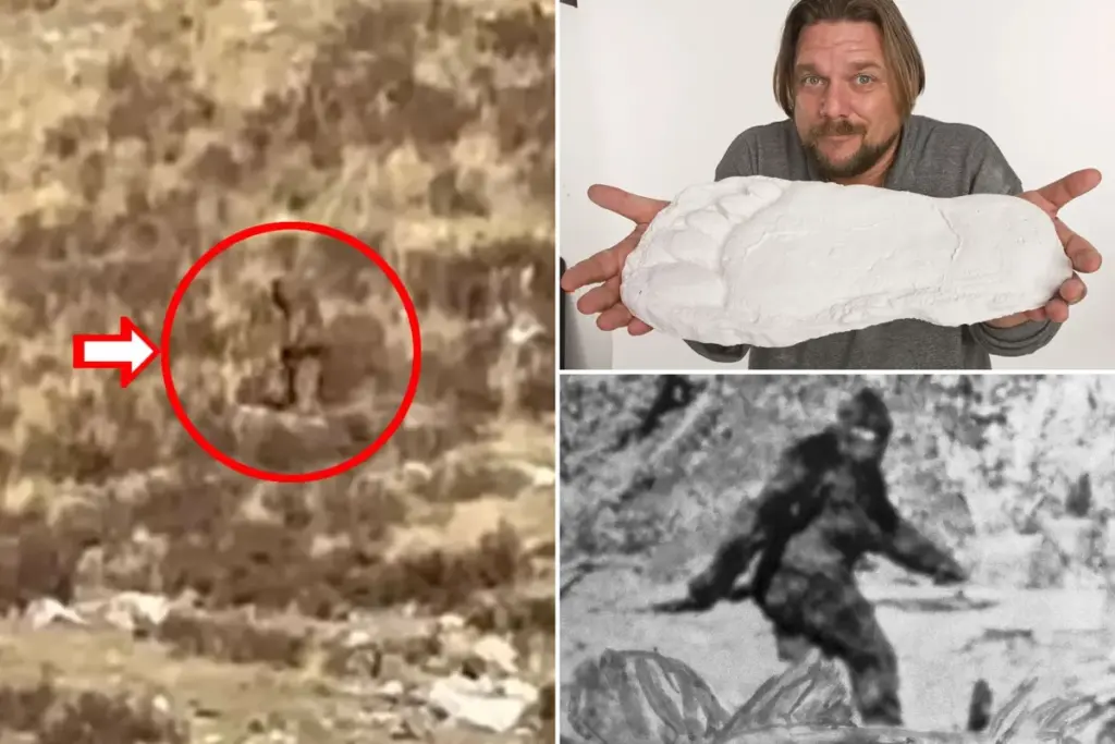 Het mysterie van Bigfoot: Gloeiende ogen, misselijkmakende geur en bizarre krachten