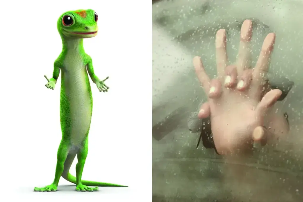 Vrouw eist 1 miljoen euro van Geico na soa in auto van partner: opmerkelijke rechtszaak