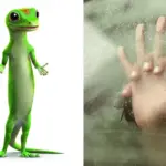 Vrouw eist 1 miljoen euro van Geico na soa in auto van partner: opmerkelijke rechtszaak