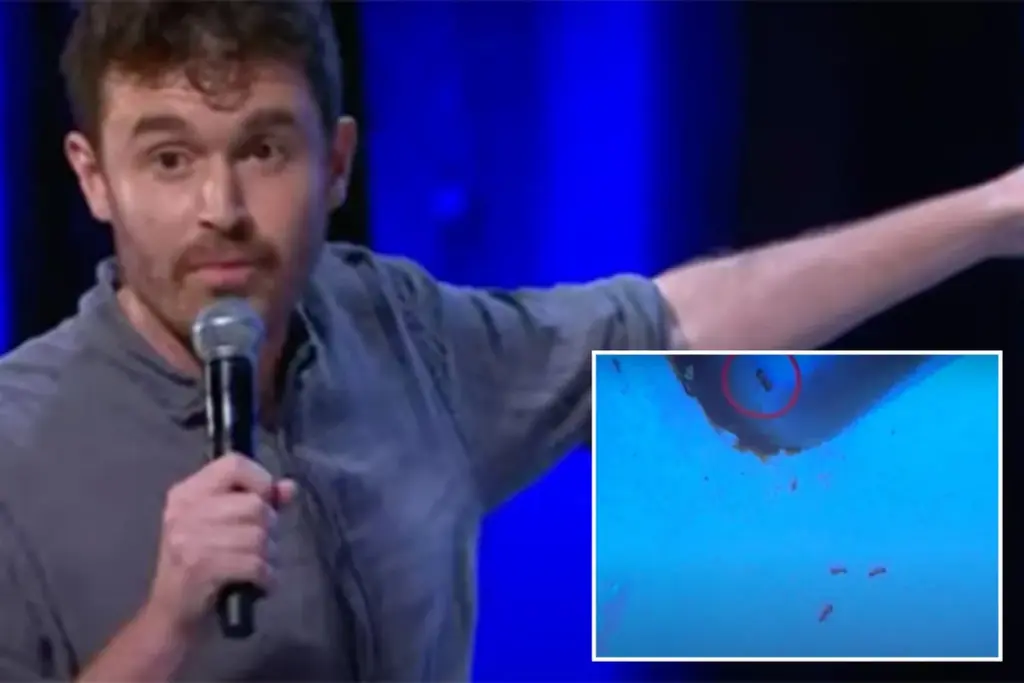 Sydneys comedian krijgt €90 boete voor vier mieren in huis: “Dat is €22,50 per mier”