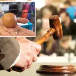Ultra-zeldzaam rond ei geveild voor ruim $500
