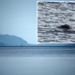 ‘Fantastische’ waarneming van het Monster van Loch Ness — de eerste in 2025