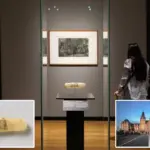 200 jaar oud condoom met erotische kunst te zien in het Rijksmuseum