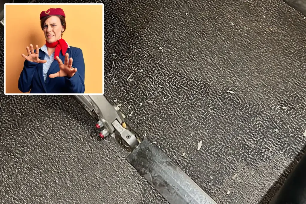Stewardess ontdekt teennagels onder vliegtuigstoel — en doet oproep aan passagiers