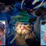 Varkensniertransplantatie: medische doorbraak kan levens redden