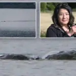 De meest intrigerende foto’s van het Loch Ness-monster blijven verbazen – zelfs voor doorgewinterde experts