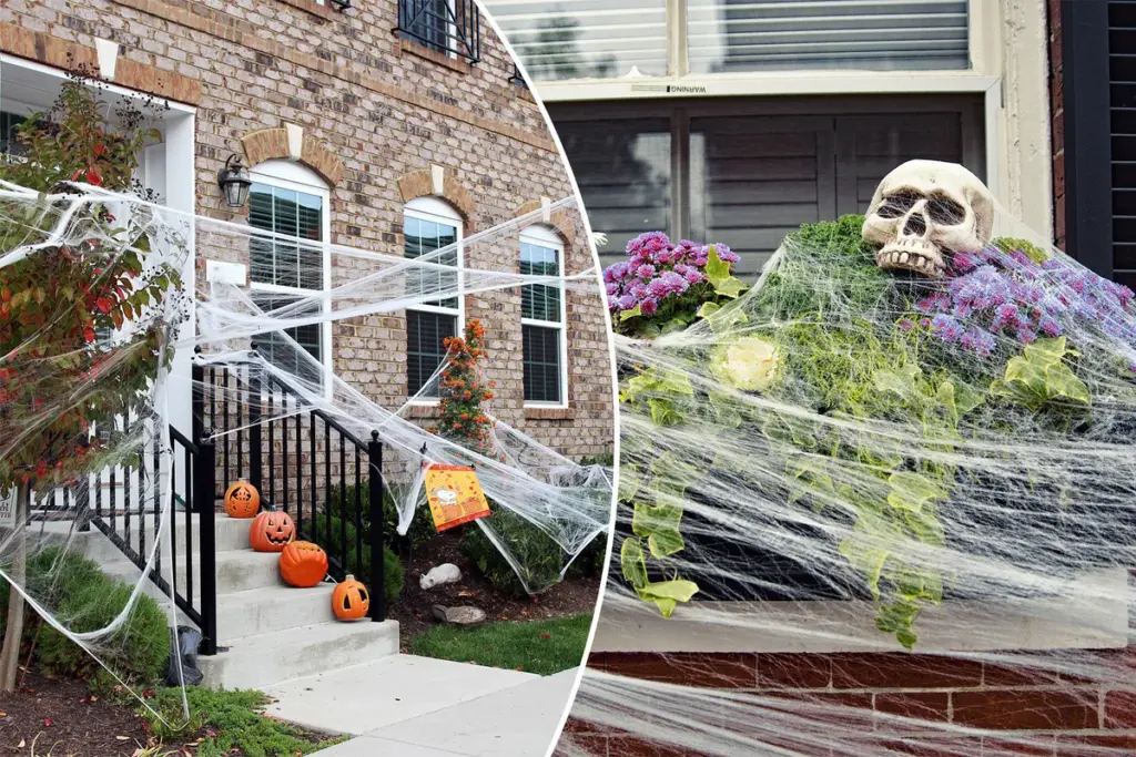 Kunstmatige spinnenwebben vormen gevaar voor de Nederlandse dierenwereld deze Halloween