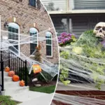 Kunstmatige spinnenwebben vormen gevaar voor de Nederlandse dierenwereld deze Halloween