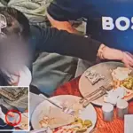 Klant betrapt: eigen haar in eten om geld terug te krijgen – restaurant woedend