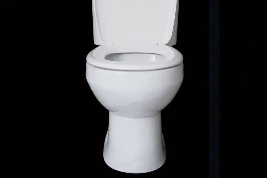 ‘Brown Friday’ is de drukste loodgietersdag — zo voorkomt u toiletrampen na Thanksgiving