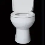 ‘Brown Friday’ is de drukste loodgietersdag — zo voorkomt u toiletrampen na Thanksgiving