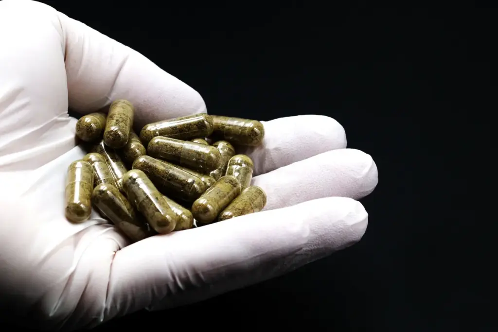 Artsen schrijven ‘poop-pillen’ voor: de onverwachte kracht van gezonde bacteriën