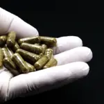 Artsen schrijven ‘poop-pillen’ voor: de onverwachte kracht van gezonde bacteriën