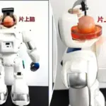 Primeur: robot bestuurd door menselijke hersencellen op chip in China