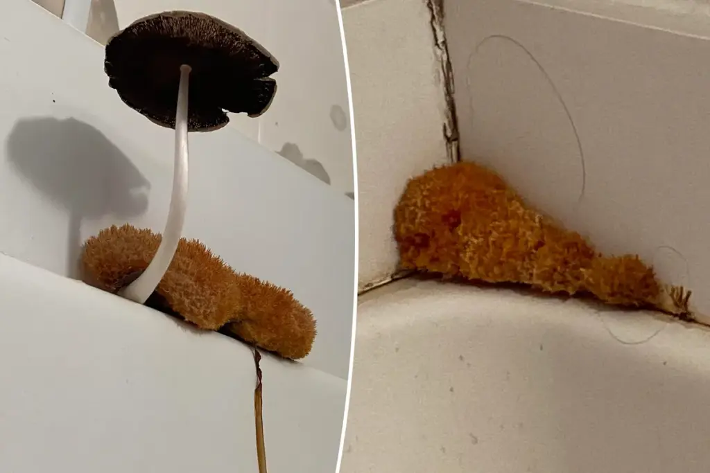 Deze douche-loofah bleek iets veel schokkenders: Reddit in rep en roer