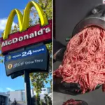 Rauw vlees landt op voorruit van klant bij McDonald’s drive-thru