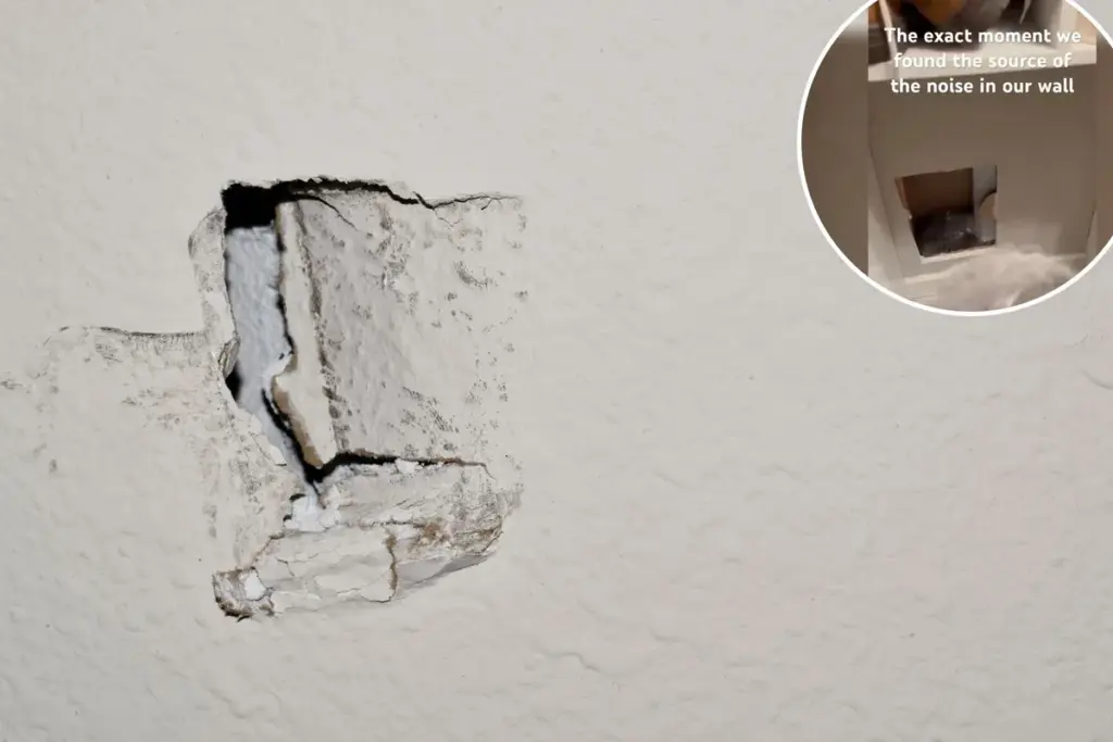 Ik hoorde vreemde geluiden achter de muur — wat ik daar aantrof, vergeet ik nooit meer
