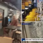 Hert stormt visrestaurant binnen in Salem – gasten in complete shock