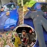 Trump-Halloweenversiering in Wausau leidt tot ruzie en boetedreiging van gemeente