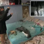 Blikseminslag tijdens TikTok: het reis van een tiener door een Nederlands onweer