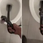 Ik vond een gigantische sissende slang in mijn wc — het duurde 2 dagen om ’m eruit te krijgen