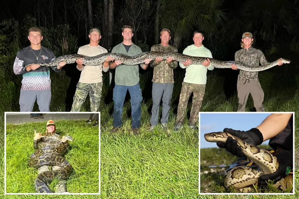 18-jarige uit Fort Myers vangt 5-meterlange python in Florida: ‘Het beest werd helemaal gek’