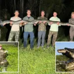 18-jarige uit Fort Myers vangt 5-meterlange python in Florida: ‘Het beest werd helemaal gek’