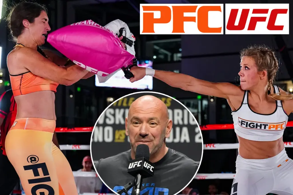 UFC van Dana White in strijd met de Pillow Fight Championship