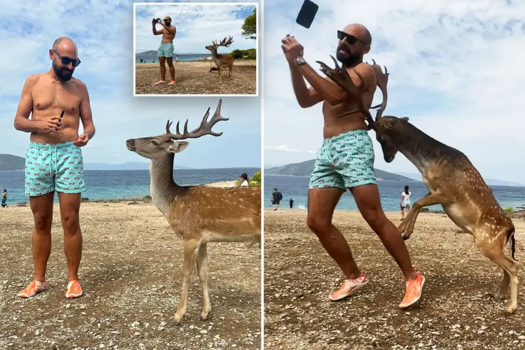 Man probeert selfie met hert te maken en eindigt met gebroken ribben