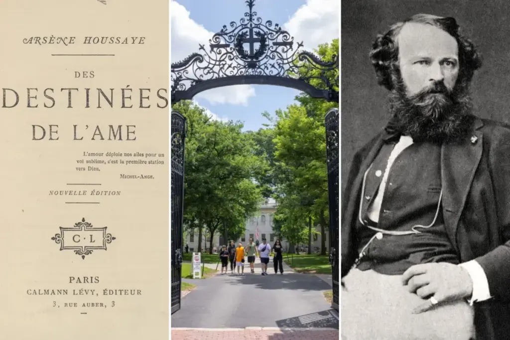 Harvard verwijdert omslag van menselijke huid van 19e-eeuws boek in bibliotheek