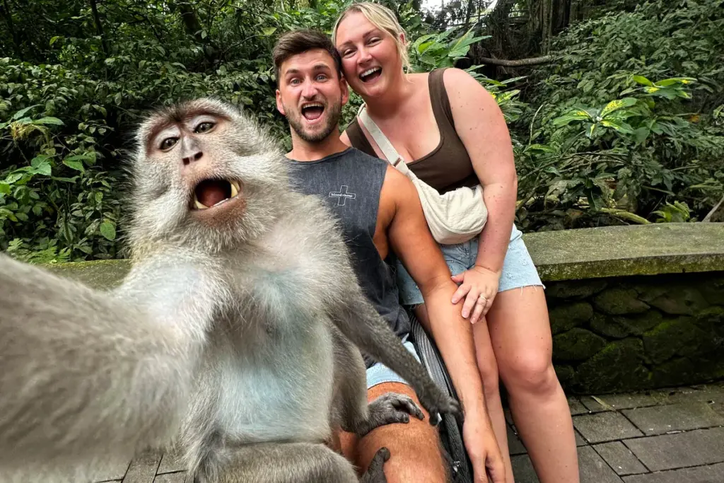 Aap grijpt telefoon en maakt selfie: toeristen in Bali verbluft door brutale makaak