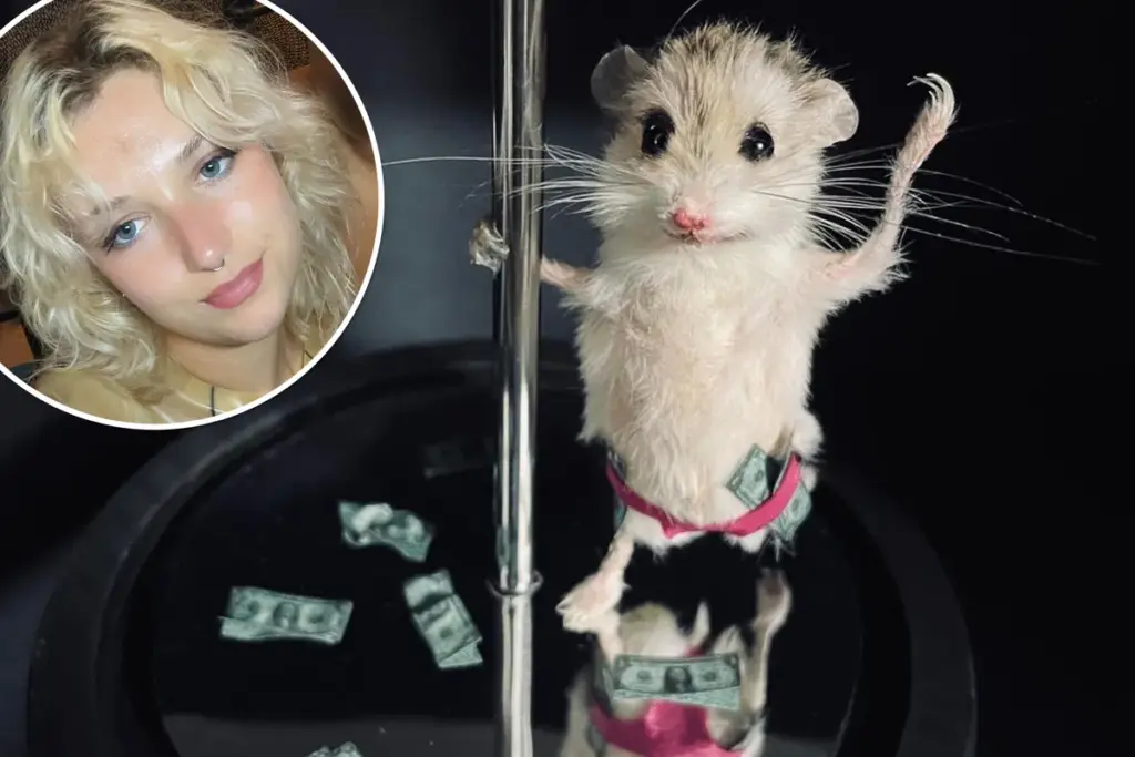 Voor meer dan €200 vereeuwigde ik mijn hamster — als stripster
