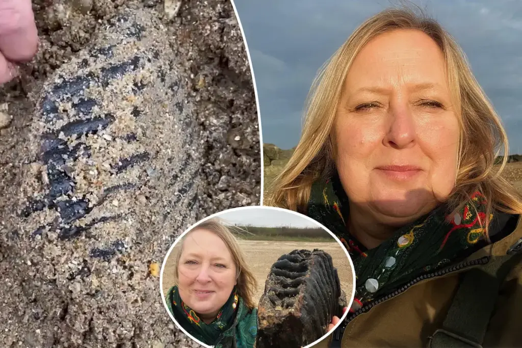 Ik vond een fossiel op het strand — het is 1,8 miljoen jaar oud