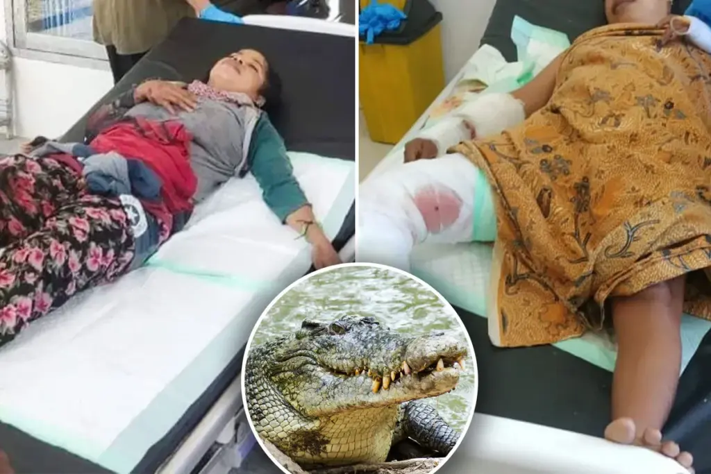 Vrouw 90 minuten vastgehouden door krokodil: spectaculaire redding op video