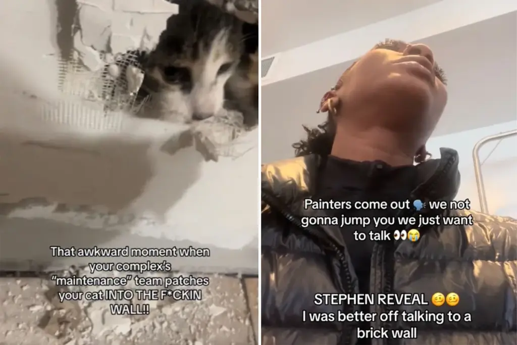 In paniek: Kat opgesloten achter muur na onderhoudsfout – huiseigenaar deelt onthutsende video