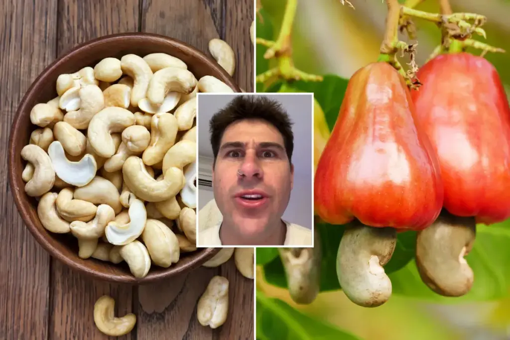 Mensen verbaasd over hoe cashewnoten echt groeien – dit verwachtte niemand
