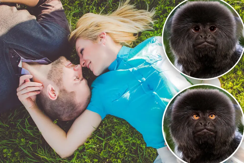 Deze oogkenmerken bepalen hoe anderen u zien — en hoeveel geld ze u misschien geven