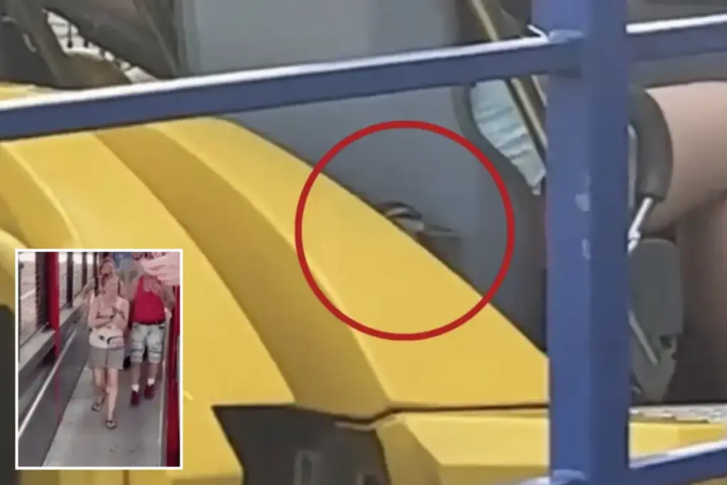 Dappere eend racet mee op Millennium Force-achtbaan in Ohio